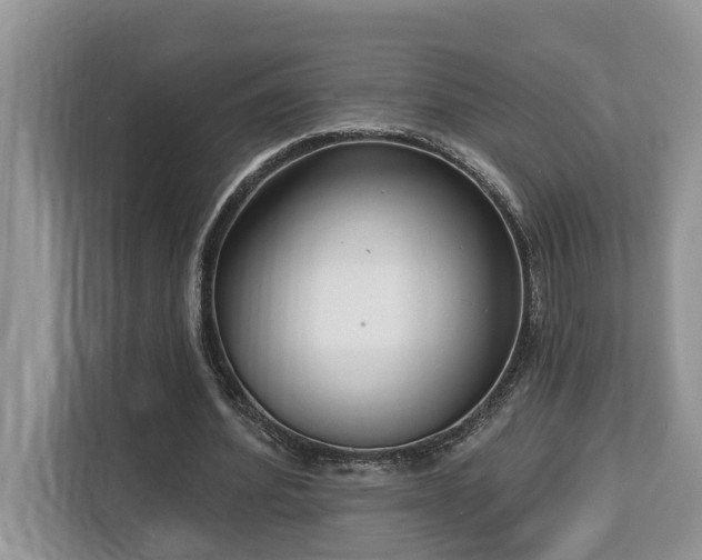 X0000113100580200908281350