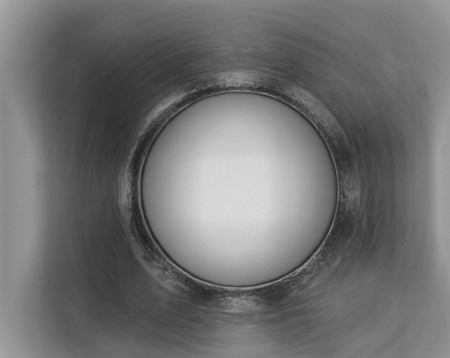 X0000113100583200908281349
