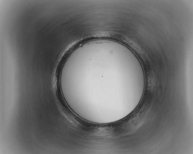 X0000113100584200908281349