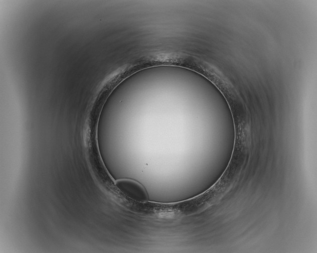 X0000113100587200908281349