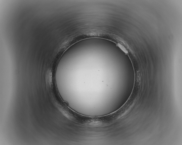 X0000113100589200908281349