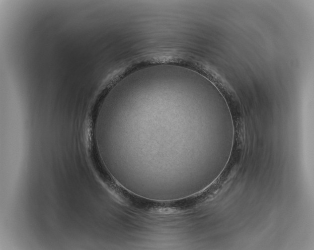 X0000113100590200908281349