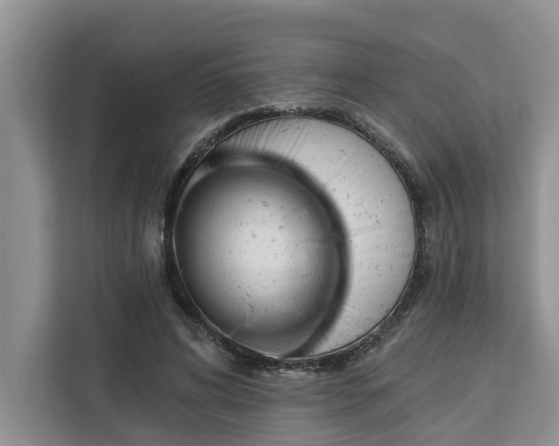 X0000113100592200908281349
