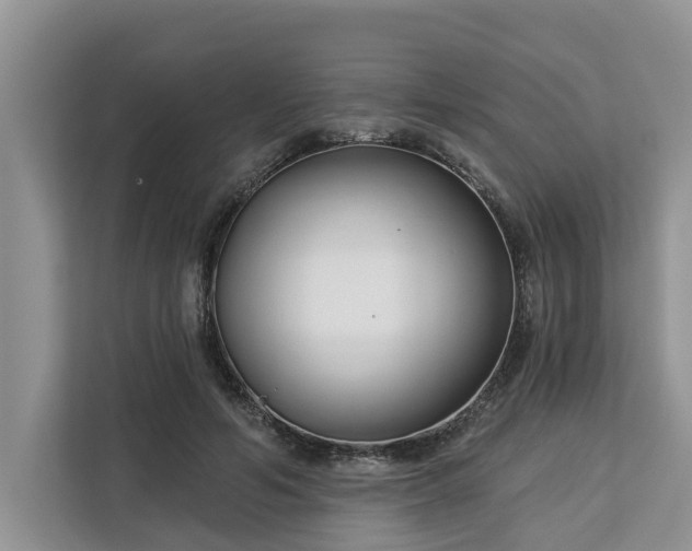 X0000113100594200908281349