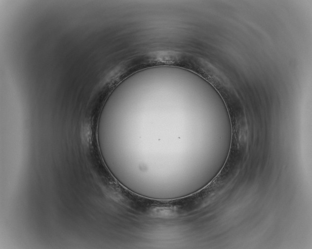 X0000113100595200908281349