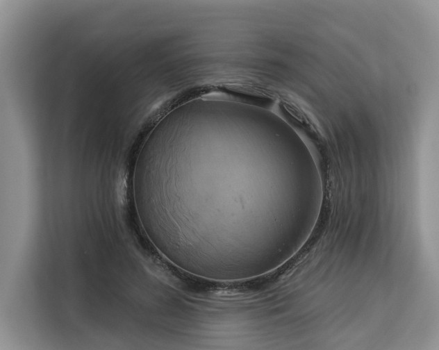 X0000113100596200908281349