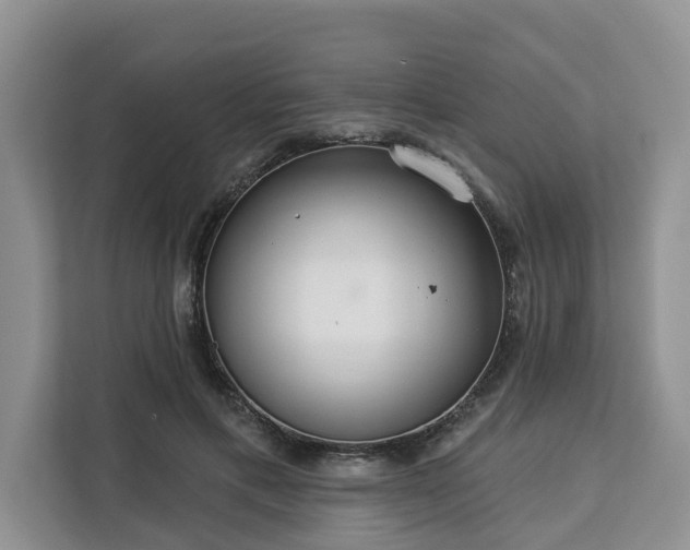 X0000113100597200908281349
