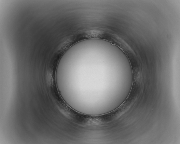 X0000113100599200908281349