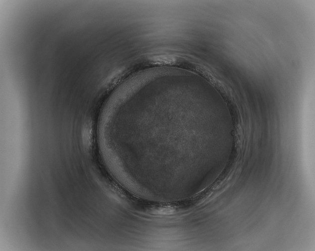 X0000113100600200908281349