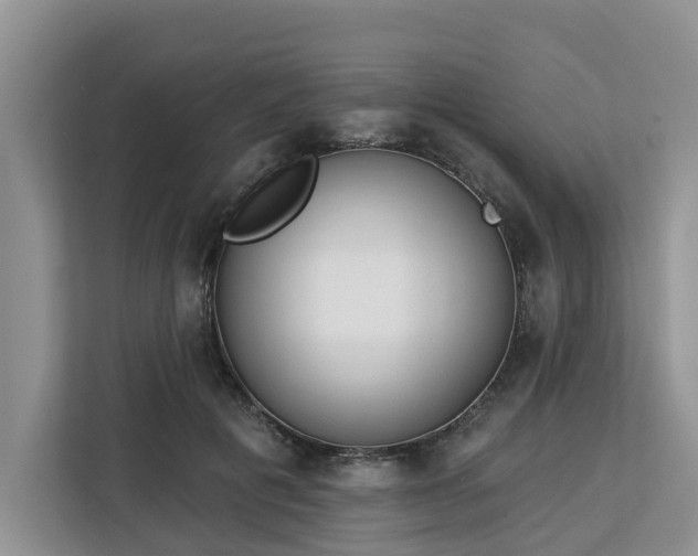X0000113100601200908281349
