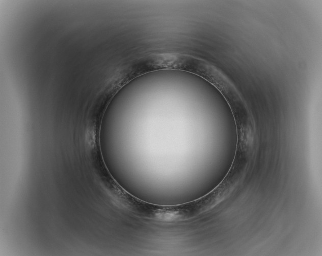 X0000113100602200908281349