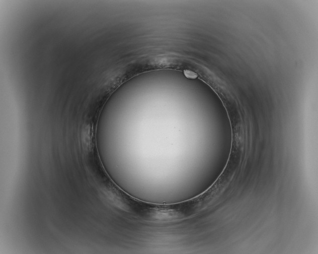 X0000113100605200908281349