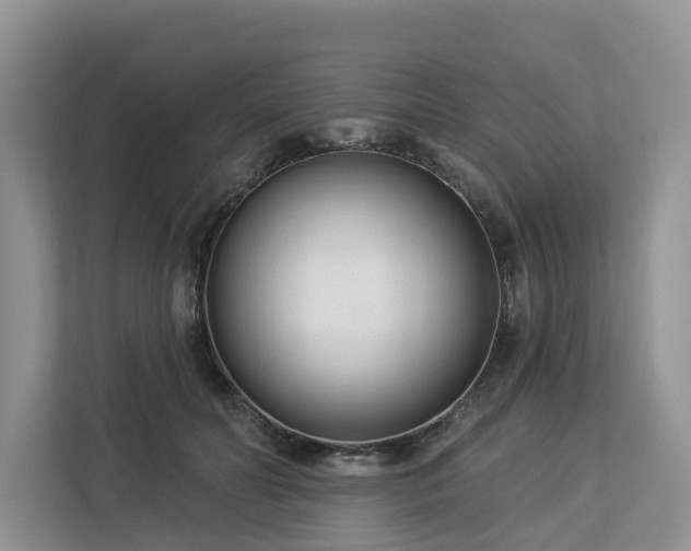 X0000113100606200908281349