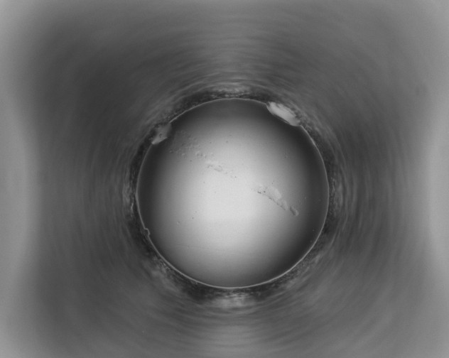 X0000113100609200908281349