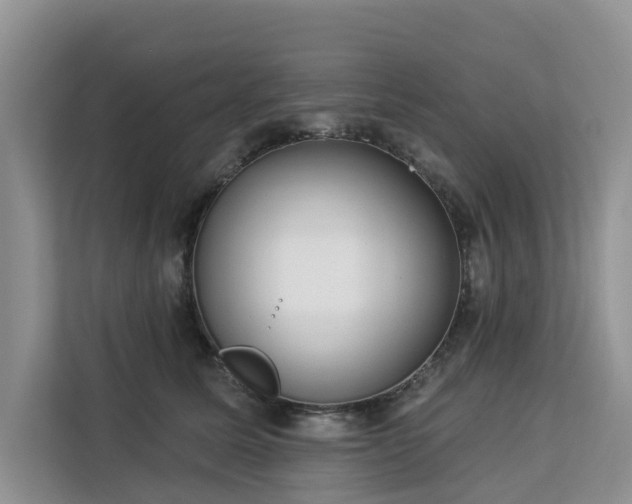 X0000113100611200908281349