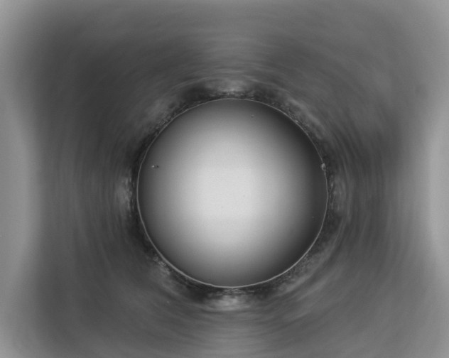 X0000113100612200908281349