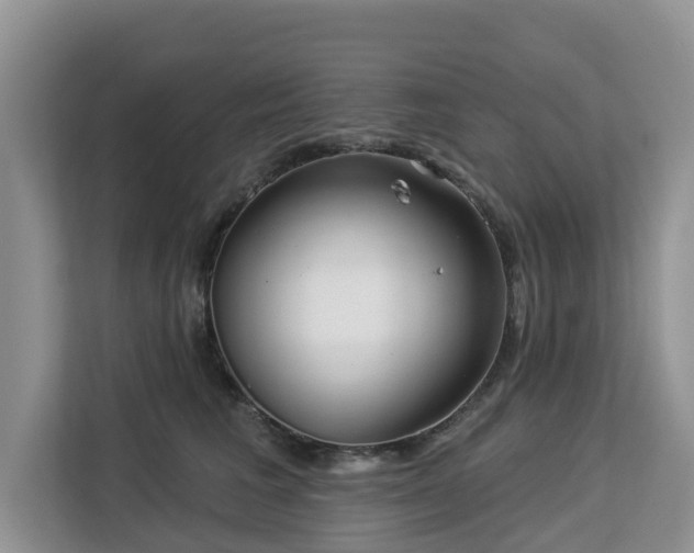 X0000113100613200908281349
