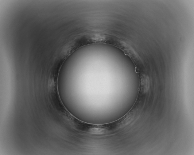 X0000113100614200908281349