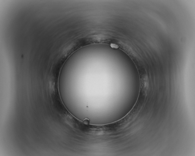 X0000113100615200908281349