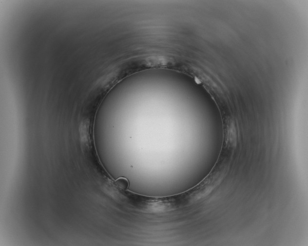 X0000113100616200908281349