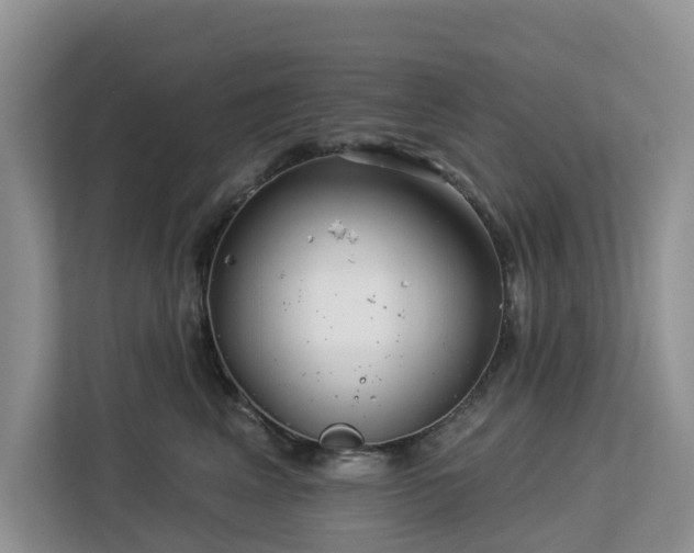 X0000113100617200908281349
