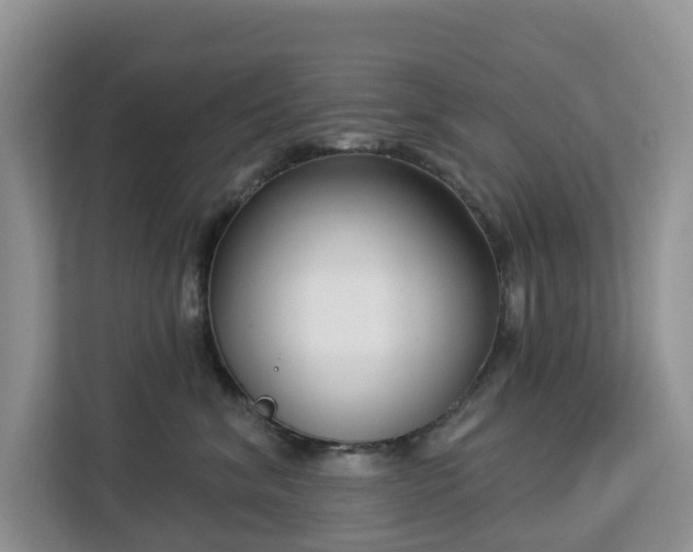 X0000113100620200908281349