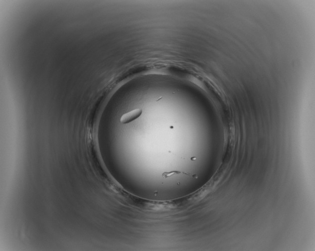 X0000113100621200908281349