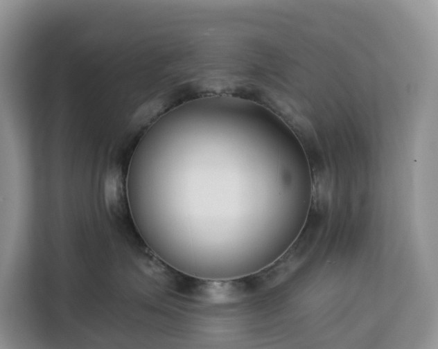 X0000113100623200908281349
