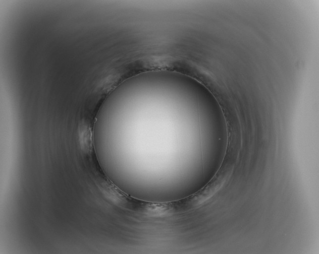 X0000113100624200908281349