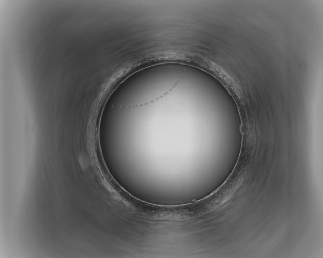 X0000113100625200908281348