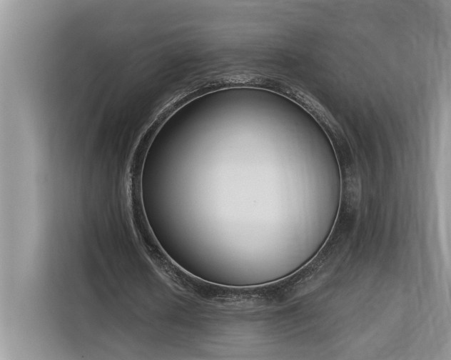 X0000113100626200908281348