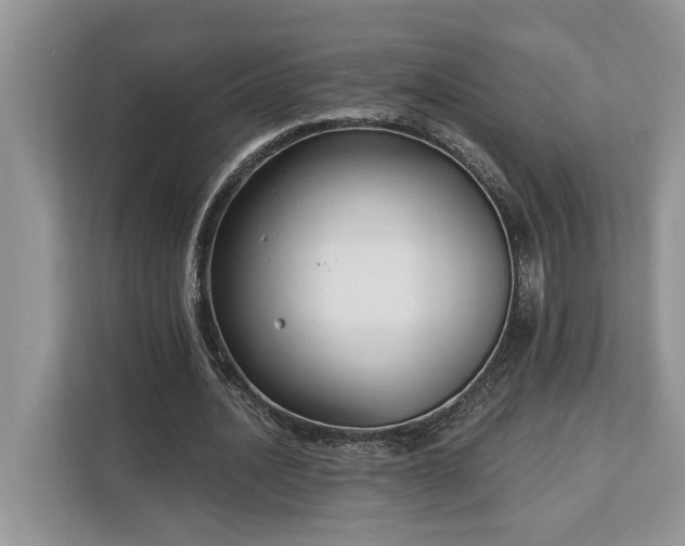 X0000113100628200908281348