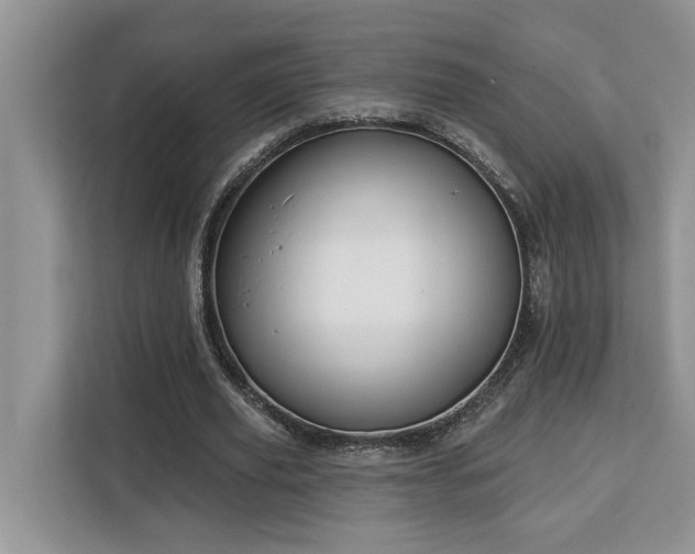 X0000113100629200908281348