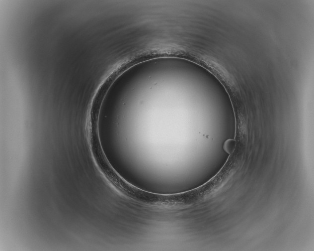 X0000113100630200908281348