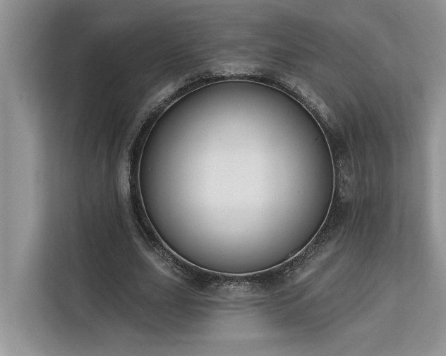 X0000113100631200908281348