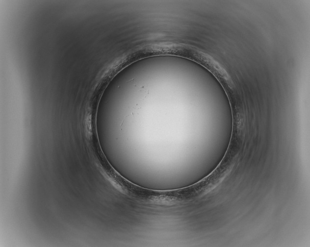 X0000113100633200908281348