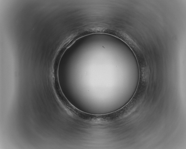 X0000113100634200908281348