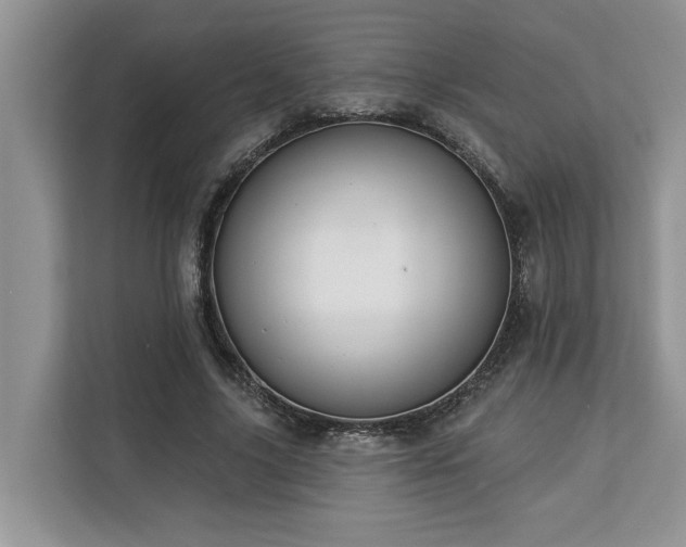 X0000113100635200908281348