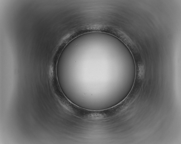 X0000113100636200908281348