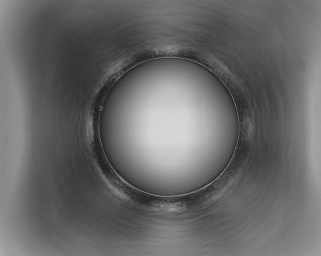 X0000113100638200908281348