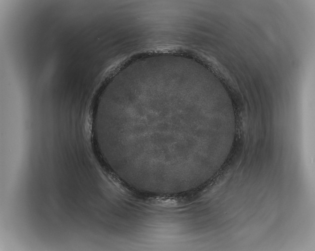 X0000113100640200908281349