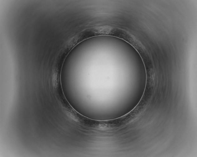 X0000113100641200908281349