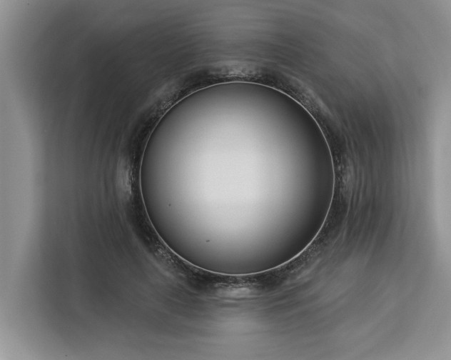 X0000113100643200908281349