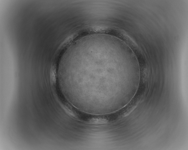 X0000113100644200908281349