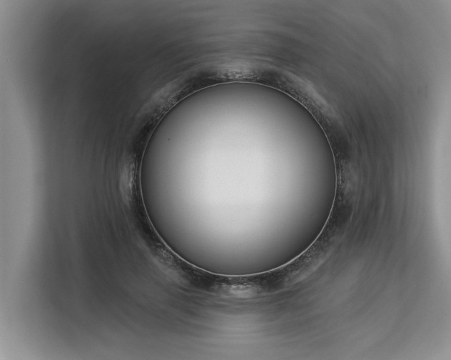 X0000113100645200908281349
