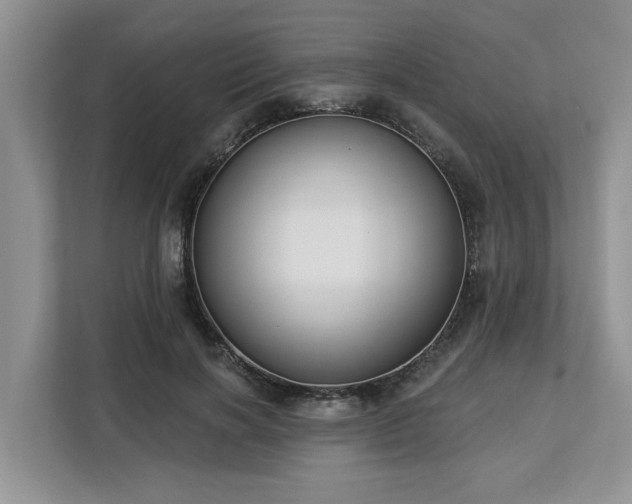 X0000113100646200908281349