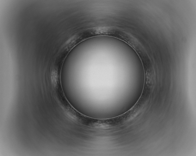 X0000113100648200908281349