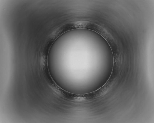 X0000113100649200908281349