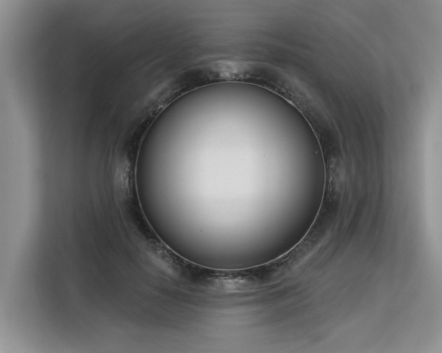 X0000113100650200908281349