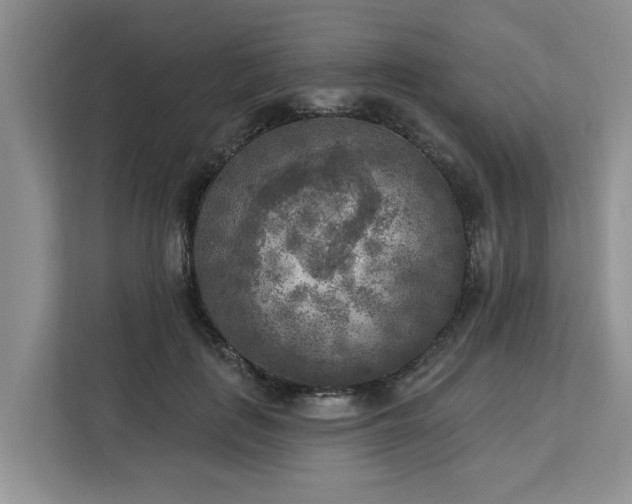 X0000113100651200908281349